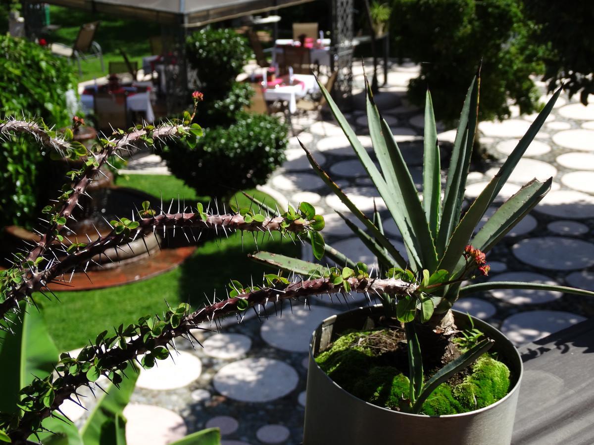 Paraiso Hotel Garden & Spa Куэрнавака Экстерьер фото